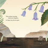 Mushroom Rain, picture book