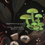 Mushroom Rain, picture book