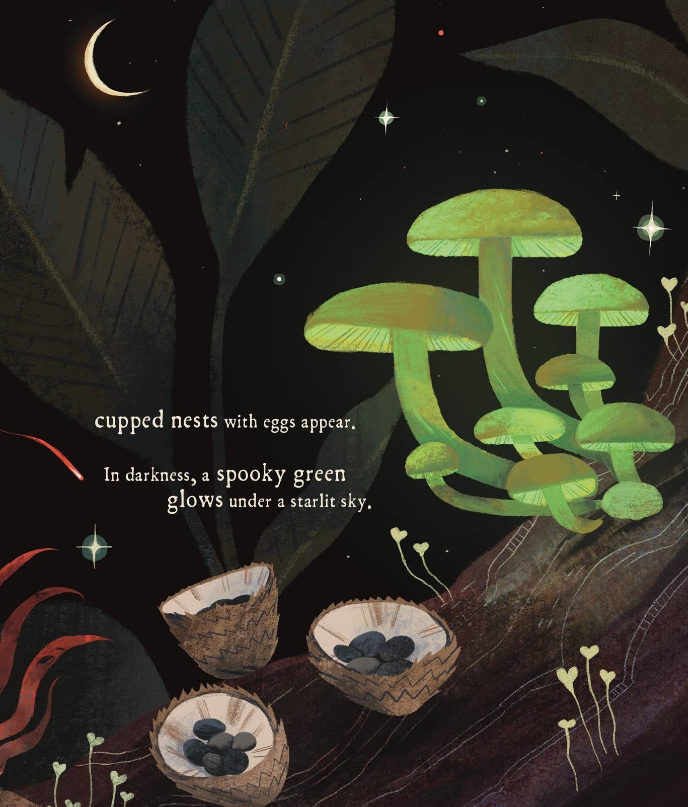 Mushroom Rain, picture book