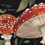 Mushroom Rain, picture book