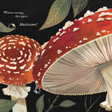 Mushroom Rain, picture book