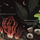 Mushroom Rain, picture book