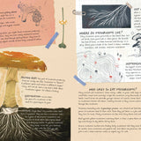 Mushroom Rain, picture book